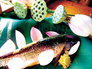 �����ʣ����ô��ţ�