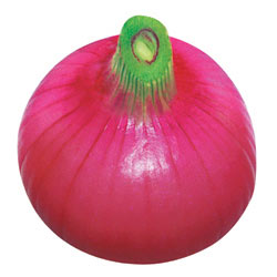 8��ʳ����ͨѪ��