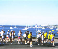 ����������ע������