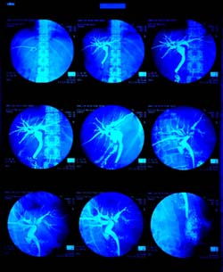 ̸̸ϵͳ����ѧ������һ��