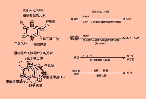 �Ŵ�����Ӫ��ѧ