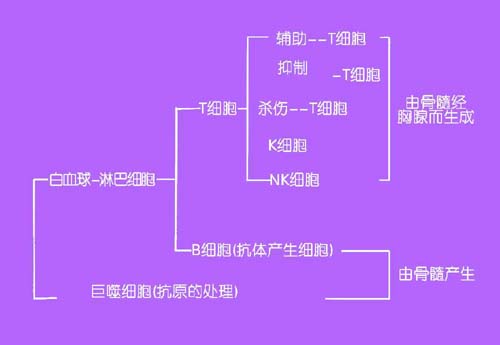 �Ŵ�����Ӫ��ѧ