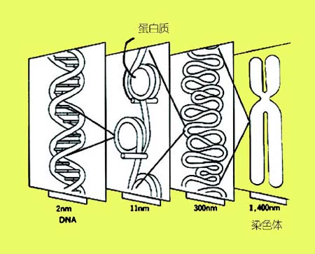 �Ŵ�����Ӫ��ѧ