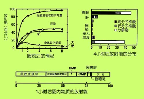 �Ŵ�����Ӫ��ѧ