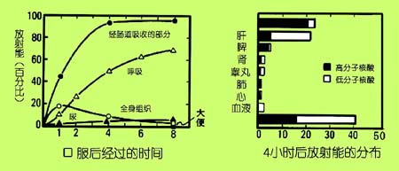 �Ŵ�����Ӫ��ѧ