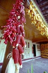 �����ͷ�������з���