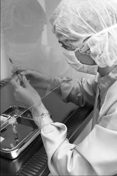 �߹����ǵ䡱�����Ǳ������м�ǿ