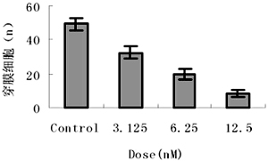 �����ضԽ᳦���ȣãԣ�����ϸ����Ϯ�Ϳ�ʧ��������Ӱ��