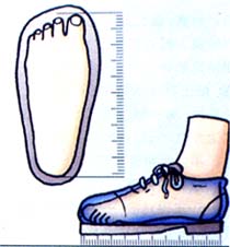 �����㲡���Ѿ�