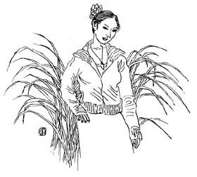 �����ٰ�������Ů����