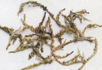 �����С����Ͻ�������