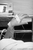 �Ӵ����ù�ؼ��������ڸ���MRSA���׻���ת��