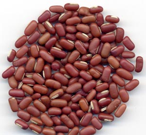 ����ʳ��Խ��Խ��