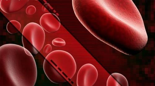 �߿Ƽ�ֹѪ�·�����15��