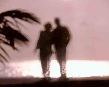 Ұ���԰������ܺ�����ɫ����