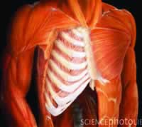 �����������ɼ���CABG����β�����֢