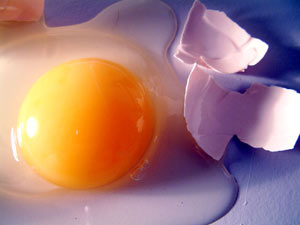 �㽶Ƥ��ƤЬ���ɾ���Ư��