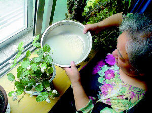 �㽶Ƥ��ƤЬ���ɾ���Ư��