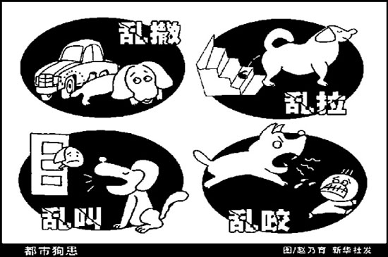 ��ʶ��Ȯ��(�����뽡��)