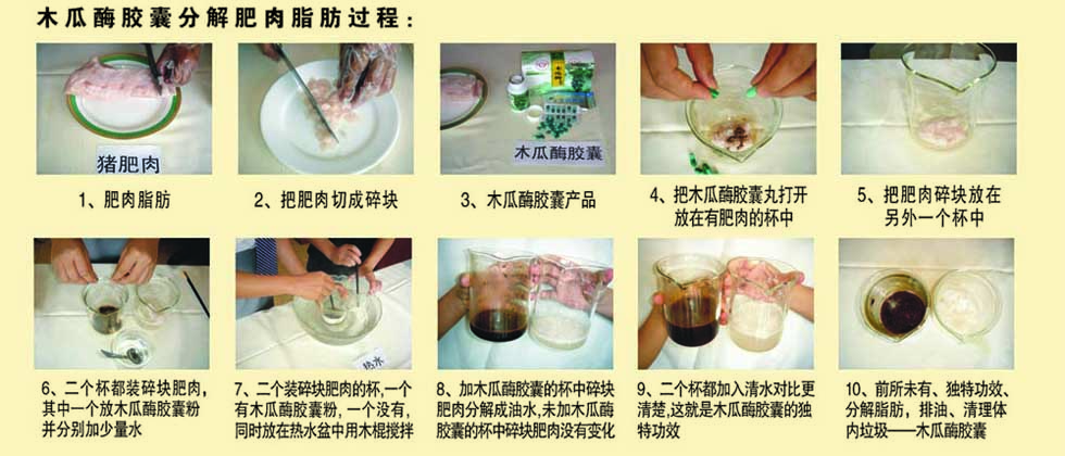 ��Ѫѹ��Ѫ֬�ܿ��գ������������