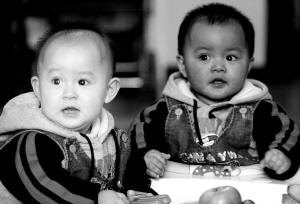 ��򸾲��ºڰ�˫��̥ �汲�������Ѫͳ