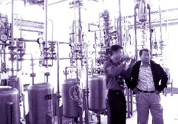 ���»��� ��ץ����