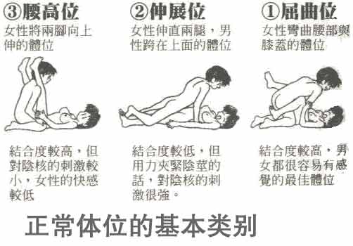 ���������������λ��ͼ��