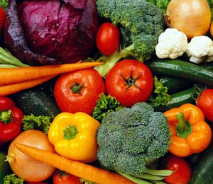 ������5��ʳ�������ж� 