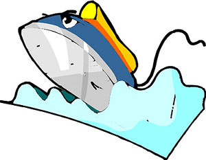 �ڼ�ʪ���зŰ������ɷ�����