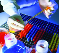 Ѫ������ʹ