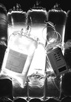 θ���������ڳ���Ӫ�����ڽ�ʳ