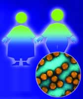 �й����̲�������Ⱦ�ߺͲ���Լ65��