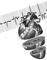 ���з���͡�ɸ�����˥���ߵ����ҹ���