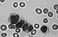 �����ƻ�����ALL�����׷���