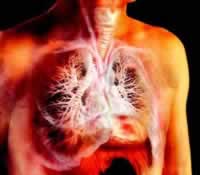 ���Ե����������ָ��(�ݰ�)(5)�л�ҽѧ�������ѧ�ֻ�����ѧ��