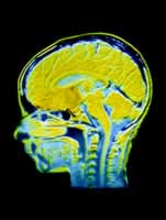 Ӥ��������ɸ�����·�