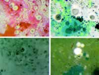 �����������1��