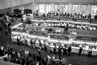 ��28��ʥ����������ٰ����鱨��