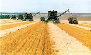 ϸ˵�����ʵ�����(ͼ)