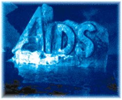 ���̲��߹���ʷ(��)