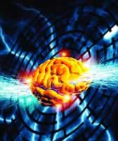 ���Խ���Ӱ������֪����?