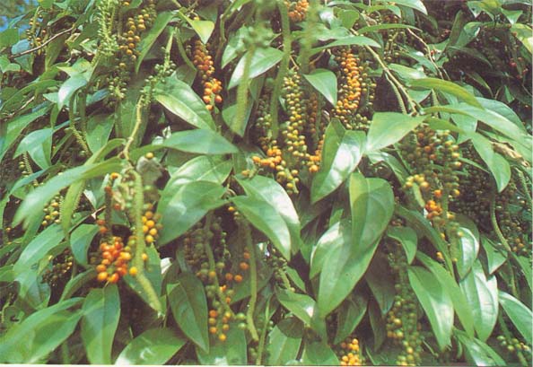 �����ݸ�Ŀ����ʾ����������