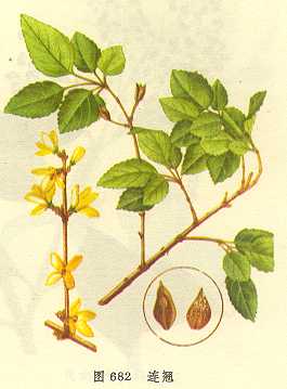 ���̼�ˮ�����������γ没��