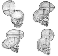 ΢�������ɹ�������­֢