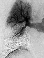 ���;��������г������������˨����������������