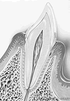 ���ܼ����������ﲻ��ת��