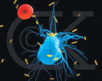 �������㿴������ͼƬ