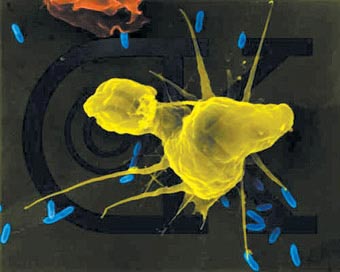 �������㿴������ͼƬ