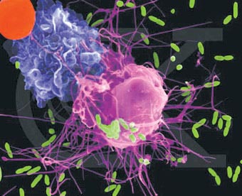 �������㿴������ͼƬ