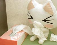 ������;�����